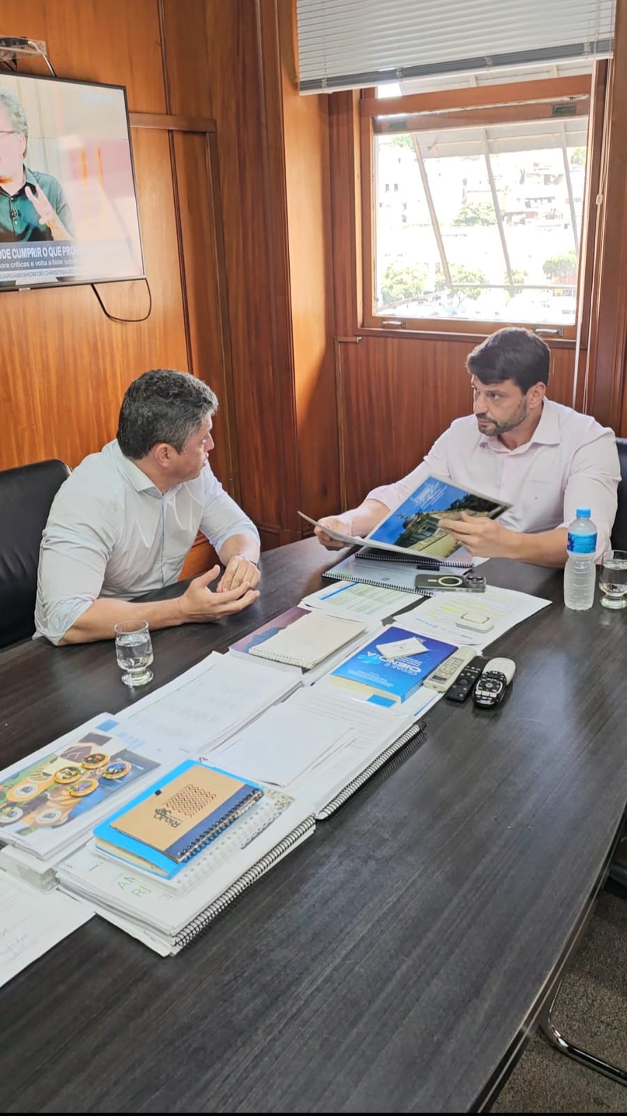 Estado e Prefeitura organizam força tarefa para cuidados com árvores em Petrópolis