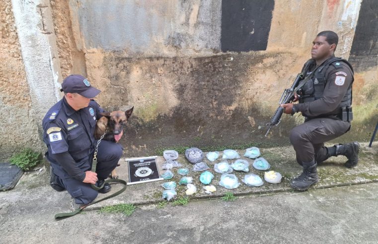 1.400 papelotes de drogas são apeendidos em ação conjunta em Petrópolis