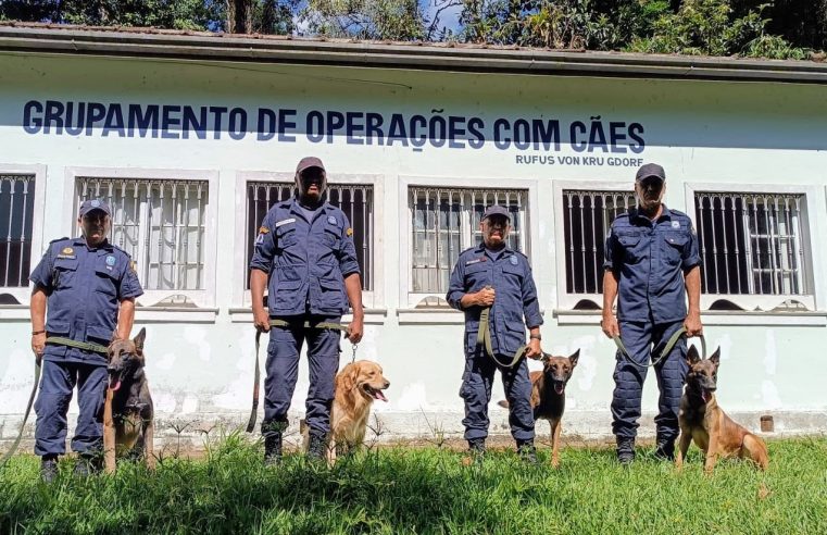 Canil da Guarda Civil de Petrópolis se consolida como política pública de segurança e inclusão social