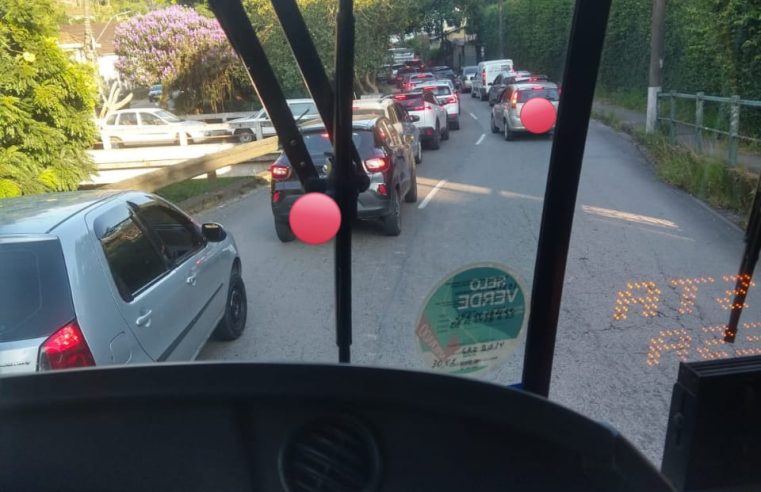 Queda de árvore interdita passagem de ônibus no Bingen