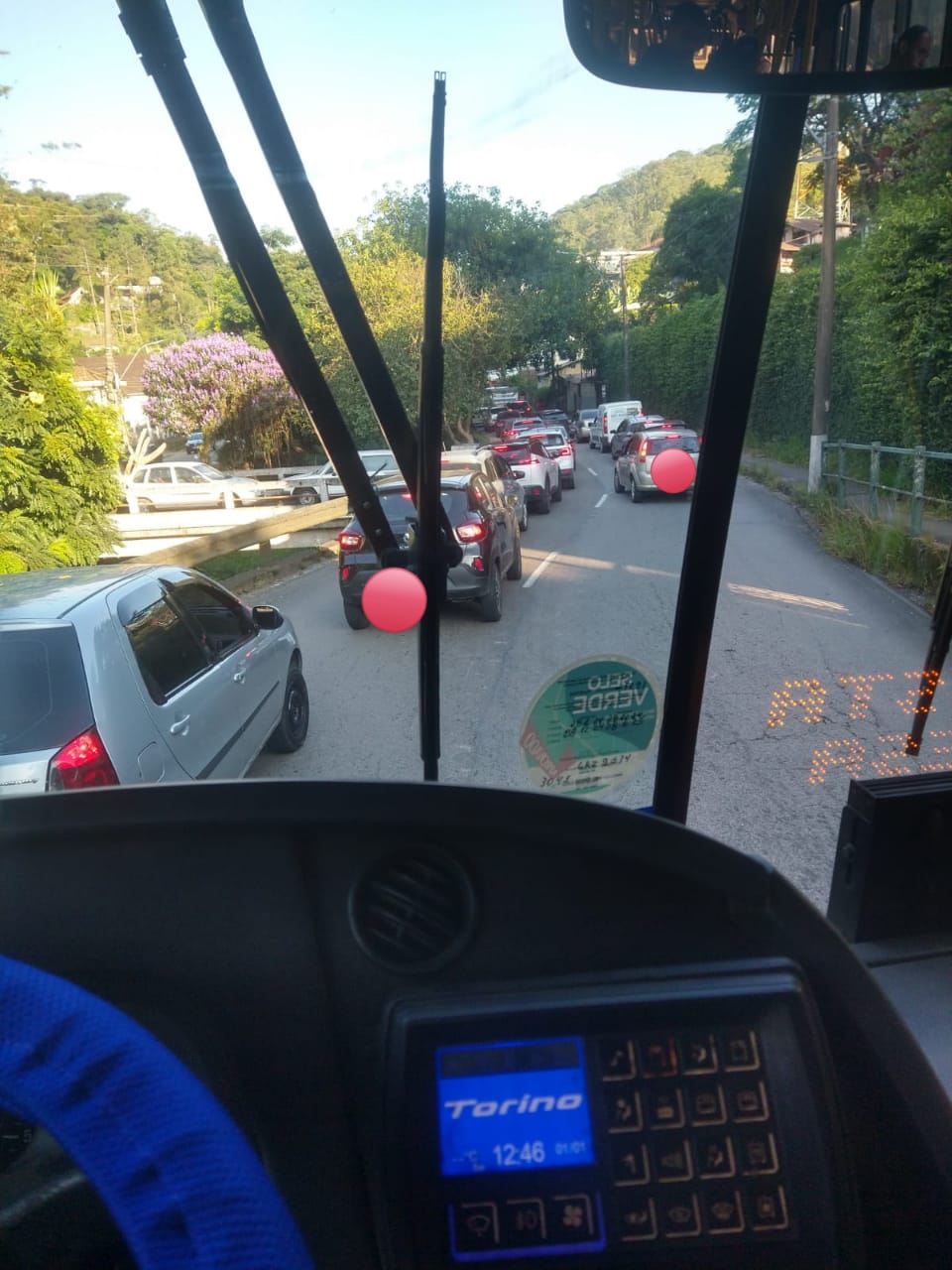 Queda de árvore interdita passagem de ônibus no Bingen