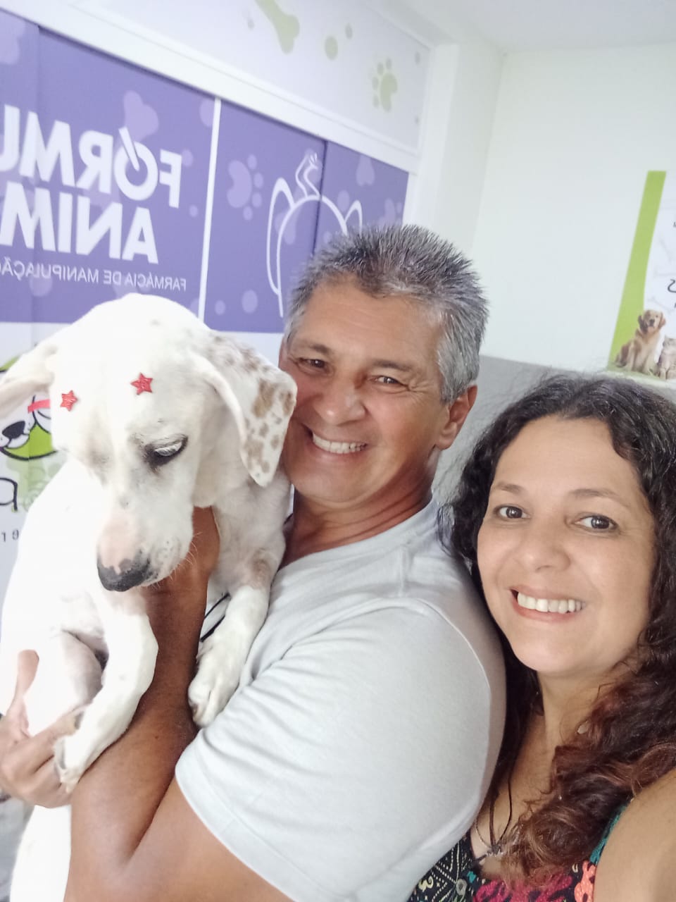 Cachorrinha resgatada com tumor, em Petrópolis, fica curada e é adotada durante tratamento
