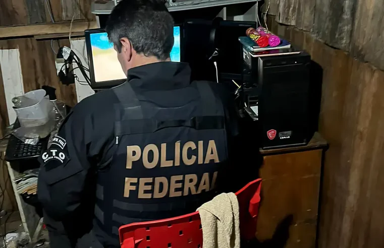 ONG diz que denúncias de crimes cibernéticos caem no Brasil