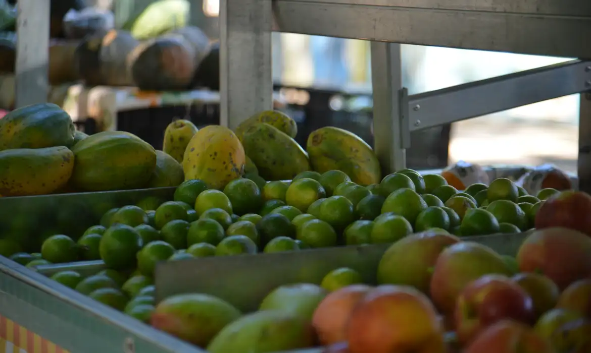 Aprovado projeto de lei que institui a Política Municipal de Agroecologia, Produção Orgânica e Alimentação Saudável