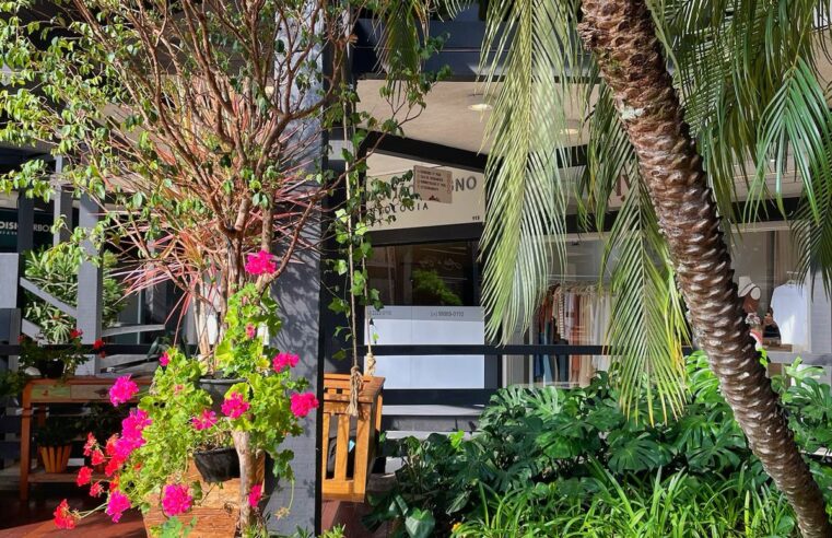 Exposição une flores e decoração em ambientações inspiradoras, em Itaipava