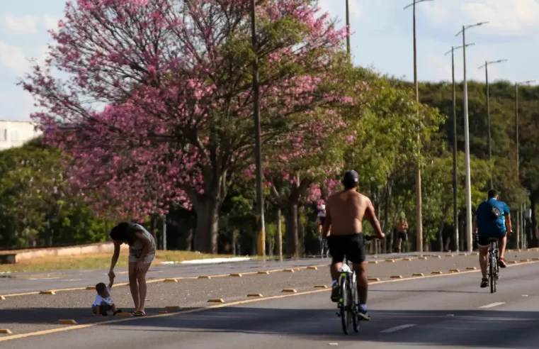 Dois terços dos brasileiros moram em ruas arborizadas