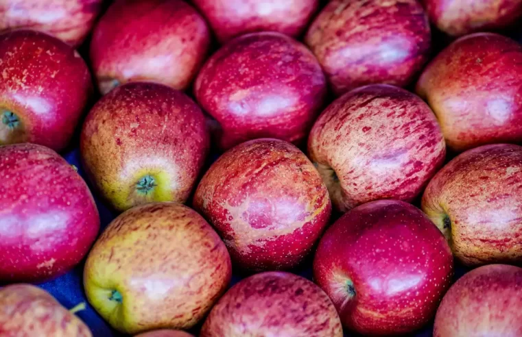 Exportação de frutas cresceu 26% no primeiro trimestre de 2025