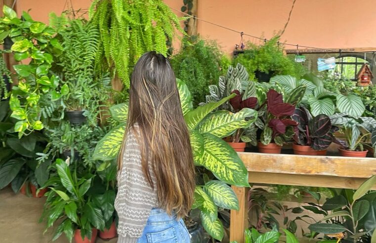 Exposições de fotos e flores em homenagem às mães são destaques em Itaipava