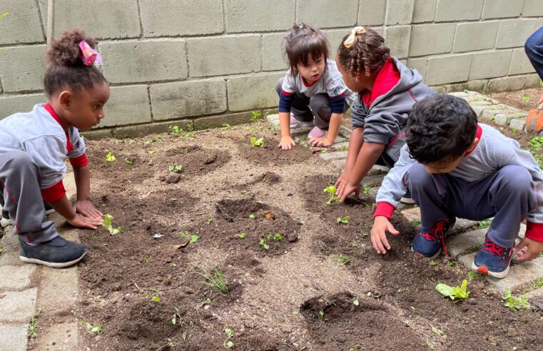 Prefeitura inaugura horta didática na Escola Municipal Augusto Pugnaloni